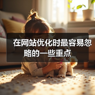在网站优化时最容易忽略的一些重点(图4) 在网站优化时最容易忽略的一些重点(图4)