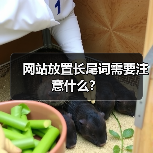 网站放置长尾词需要注意什么?(图4) 网站放置长尾词需要注意什么?(图4)