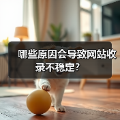 哪些原因会导致网站收录不稳定？（图1）