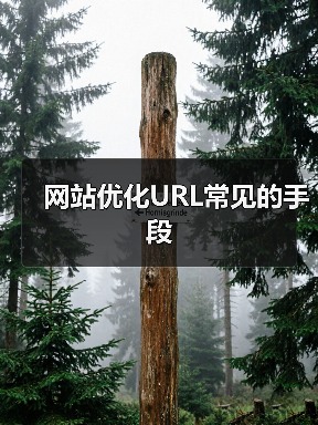 网站优化URL常见的手段(图1) 网站优化URL常见的手段(图1)