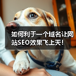 如何利于一个域名让网站SEO效果飞上天!(图4) 如何利于一个域名让网站SEO效果飞上天!(图4)