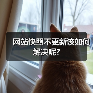 网站快照不更新该如何解决呢?(图1) 网站快照不更新该如何解决呢?(图1)