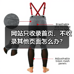 网站只收录首页,不收录其他页面怎么办?(图3) 网站只收录首页,不收录其他页面怎么办?(图3)