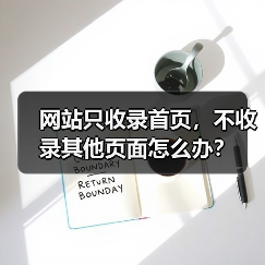 网站只收录首页,不收录其他页面怎么办?(图4) 网站只收录首页,不收录其他页面怎么办?(图4)