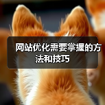 网站优化需要掌握的方法和技巧(图1) 网站优化需要掌握的方法和技巧(图1)