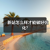 新站怎么样才能做好优化?(图3) 新站怎么样才能做好优化?(图3)