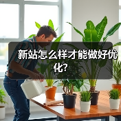 新站怎么样才能做好优化?(图4) 新站怎么样才能做好优化?(图4)