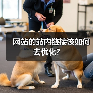 网站的站内链接该如何去优化?(图4) 网站的站内链接该如何去优化?(图4)