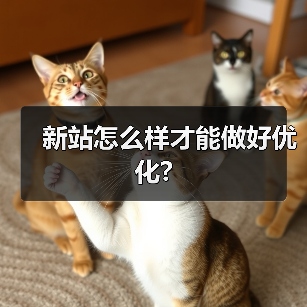 新站怎么样才能做好优化?(图2) 新站怎么样才能做好优化?(图2)