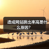 造成网站跳出率高是什么原因?(图4) 造成网站跳出率高是什么原因?(图4)
