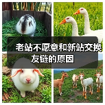 老站不愿意和新站交换友链的原因（图2）
