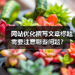 网站优化撰写文章标题需要注意哪些问题?(图1) 网站优化撰写文章标题需要注意哪些问题?(图1)