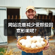 网站流量减少受那些因素影响呢?(图1) 网站流量减少受那些因素影响呢?(图1)