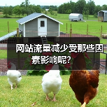 网站流量减少受那些因素影响呢?(图3) 网站流量减少受那些因素影响呢?(图3)
