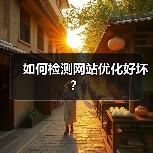 如何检测网站优化好坏?(图4) 如何检测网站优化好坏?(图4)