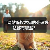 网站降权常见的处理方法都有哪些?(图2) 网站降权常见的处理方法都有哪些?(图2)