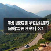 吸引搜索引擎蜘蛛抓取网站需要注意什么?（图1）