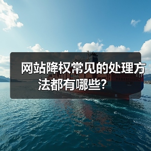 网站降权常见的处理方法都有哪些?(图4) 网站降权常见的处理方法都有哪些?(图4)