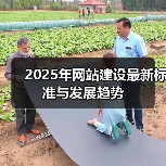 2025年网站建设最新标准与发展趋势(图2) 2025年网站建设最新标准与发展趋势(图2)