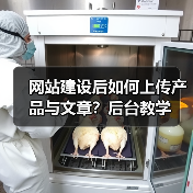 网站建设后如何上传产品与文章？后台教学（图1）