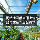 网站建设后如何上传产品与文章？后台教学（图3）
