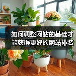 如何调整网站的基础才能获得更好的网站排名呢？（图2）
