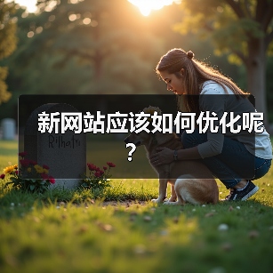 新网站应该如何优化呢?(图1) 新网站应该如何优化呢?(图1)