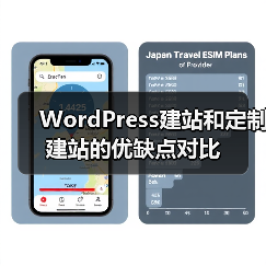 WordPress建站和定制建站的优缺点对比(图2) WordPress建站和定制建站的优缺点对比(图2)