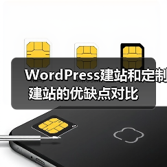 WordPress建站和定制建站的优缺点对比(图3) WordPress建站和定制建站的优缺点对比(图3)