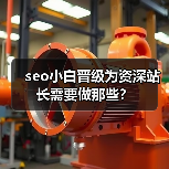 seo小白晋级为资深站长需要做那些?(图1) seo小白晋级为资深站长需要做那些?(图1)
