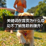 关键词在首页为什么带动不了销售额的提升?(图3) 关键词在首页为什么带动不了销售额的提升?(图3)