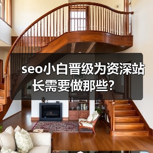 seo小白晋级为资深站长需要做那些?(图3) seo小白晋级为资深站长需要做那些?(图3)
