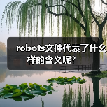 robots文件代表了什么样的含义呢?(图4) robots文件代表了什么样的含义呢?(图4)