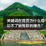 关键词在首页为什么带动不了销售额的提升?(图4) 关键词在首页为什么带动不了销售额的提升?(图4)