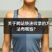 关于网站快速收录的方法有哪些?（图1）