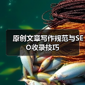 原创文章写作规范与SEO收录技巧(图3) 原创文章写作规范与SEO收录技巧(图3)