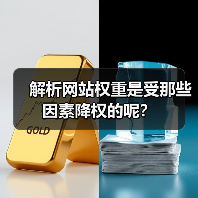 解析网站权重是受那些因素降权的呢？（图2）