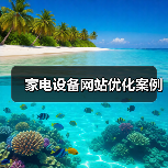家电设备网站优化案例（图3）