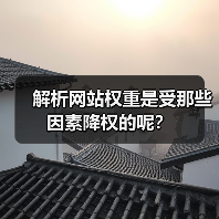 解析网站权重是受那些因素降权的呢？（图4）