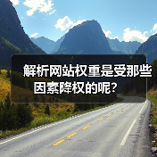 解析网站权重是受那些因素降权的呢？（图3）