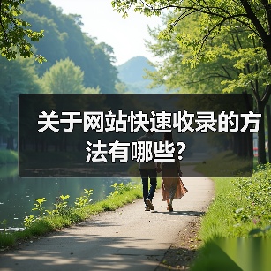 关于网站快速收录的方法有哪些?（图4）