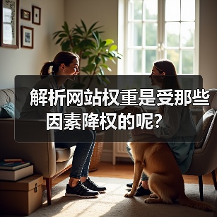 解析网站权重是受那些因素降权的呢？（图1）