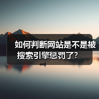 如何判断网站是不是被搜索引擎惩罚了?(图1) 如何判断网站是不是被搜索引擎惩罚了?(图1)