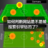 如何判断网站是不是被搜索引擎惩罚了?(图4) 如何判断网站是不是被搜索引擎惩罚了?(图4)