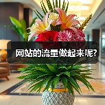 网站的流量做起来呢?（图4）