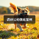 调研公司优化案例(图3) 调研公司优化案例(图3)