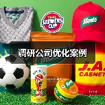 调研公司优化案例(图2) 调研公司优化案例(图2)