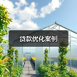 贷款优化案例(图1) 贷款优化案例(图1)