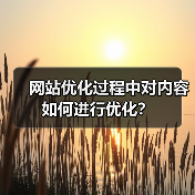 网站优化过程中对内容如何进行优化?(图1) 网站优化过程中对内容如何进行优化?(图1)
