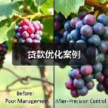 贷款优化案例(图2) 贷款优化案例(图2)